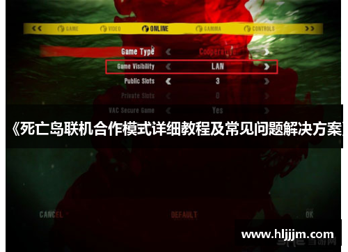 《死亡岛联机合作模式详细教程及常见问题解决方案》